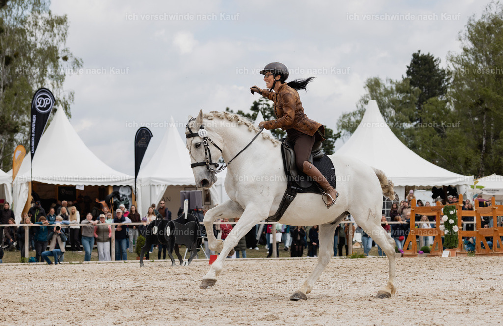 PI26_SP_StoibphotographyC2_C1540.jpg | working equitationturnier fotograf videograf stoibphotography marixx film working equitation deutschland reitsport turnierfotografie eventfotografie equestrian events