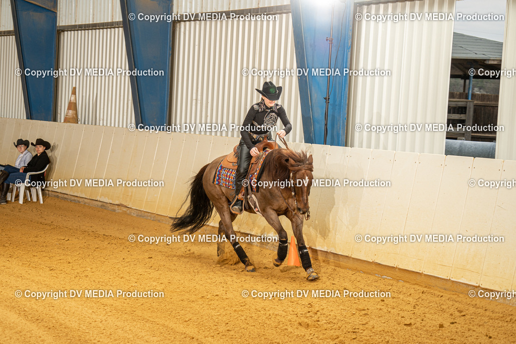 MIT00537 | dv-media-shop - Realisiert mit Pictrs.com