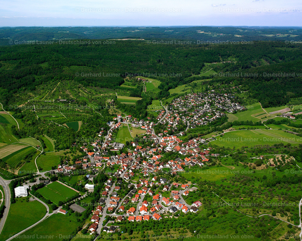 2506828 | Oberbrüden, Auenwald