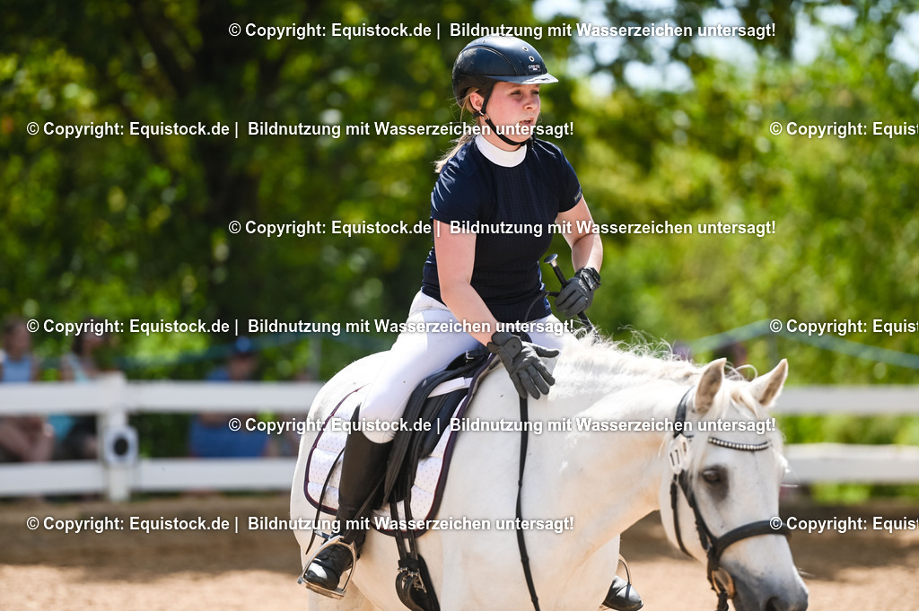 20230715_09_Dressur-WB_0103 | equistock