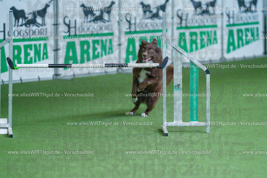 @allesWIRTHgut_Tierfotografie - www.allesWIRTHgut.de - 2604261355-7R502975 | Professionelle Tierfotografie in Mönchengladbach von Daniel Wirth (allesWIRTHgut). Liebevolle & natürliche Bilder von Hunden & Katzen für unvergessliche Erinnerungen.