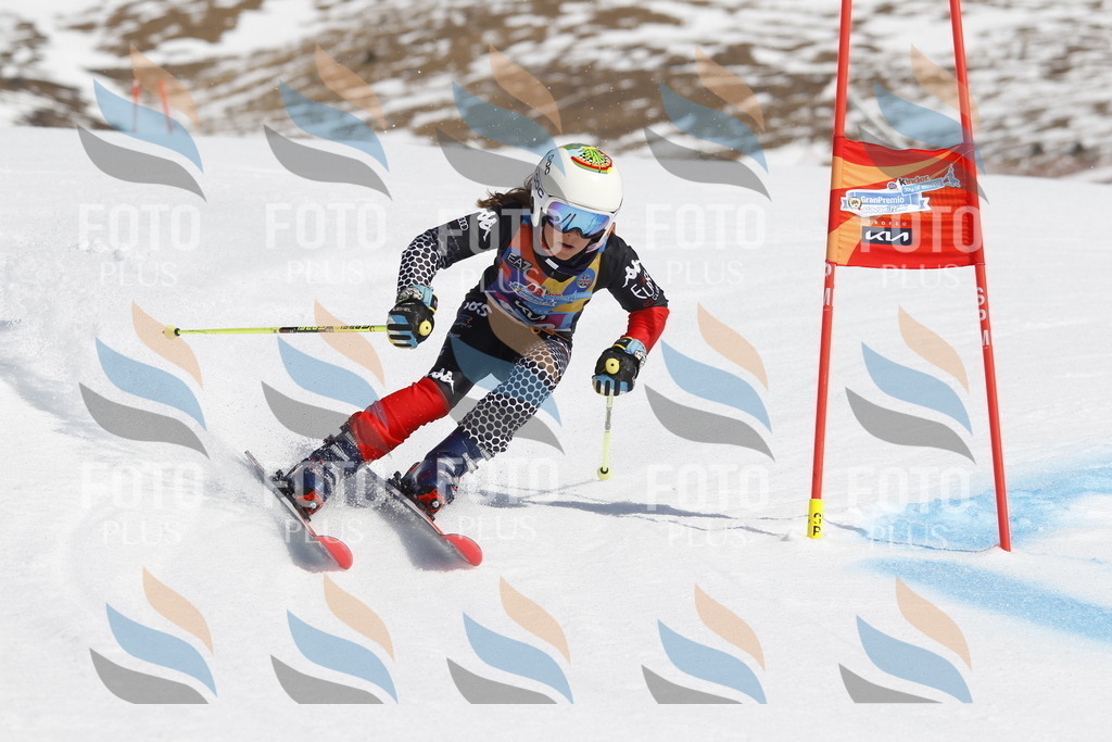 _U3G0943 | holidayphoto