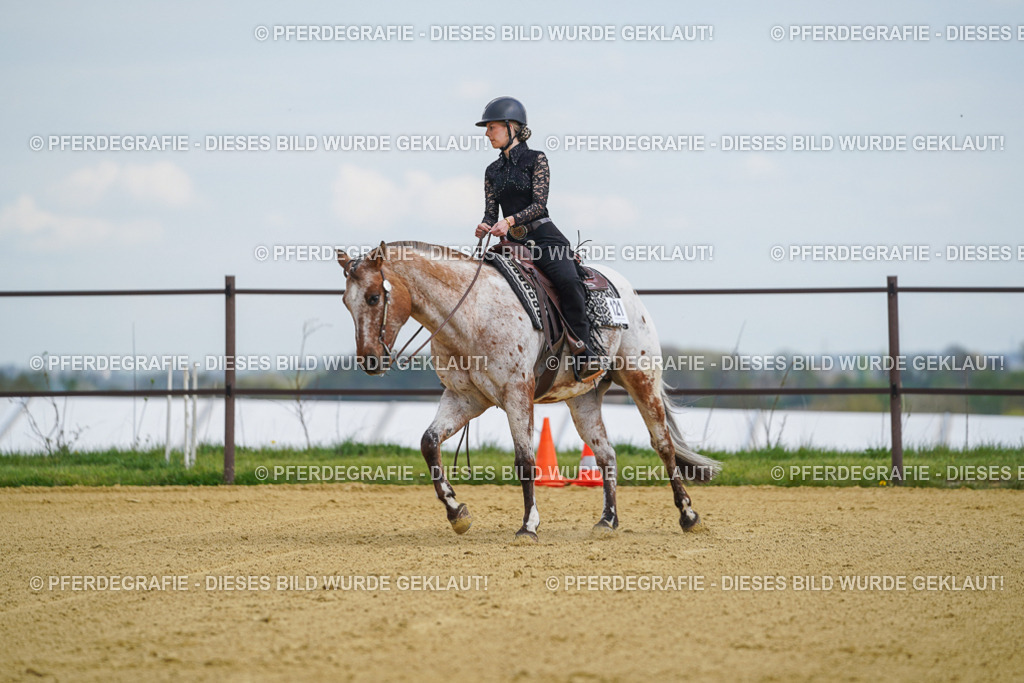 DSC05689 | Pferdegrafie