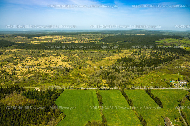 Monschau240502336HohesVenn | Luftbild, Hohes Venn Naturpark Eifel, Hochfläche bei Mützenich Landschaftsschutzgebiet, Vennhochfläche Wiesen und Felder Moorheidekomplex, Grenzgebiet Deutschland-Belgien, Mützenich, Monschau, Nordrhein-Westfalen, Deutschland