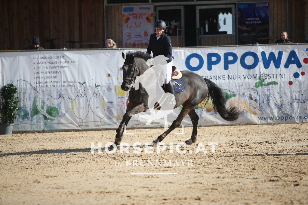 AS8V5224 | Willkommen bei Brunnmayr - Design & Fotografie – Ihrem Spezialisten für Reitturniere und Pferdeveranstaltungen in Oberösterreich, Salzburg und Bayern! Seit über 17 Jahren sind wir leidenschaftlich dabei.