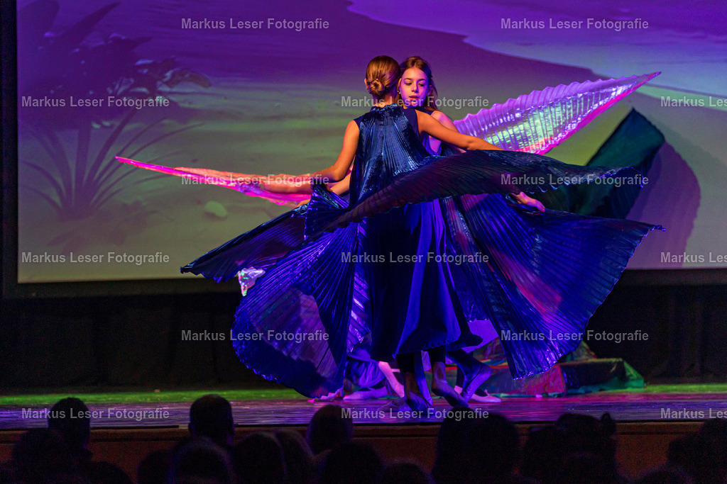 mlBallettSaNachm-7647 | Markus Leser Fotografie - Realisiert mit Pictrs.com