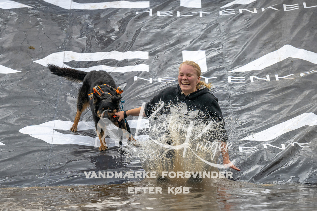 1540_ZZ94785 | kk-dogfotos