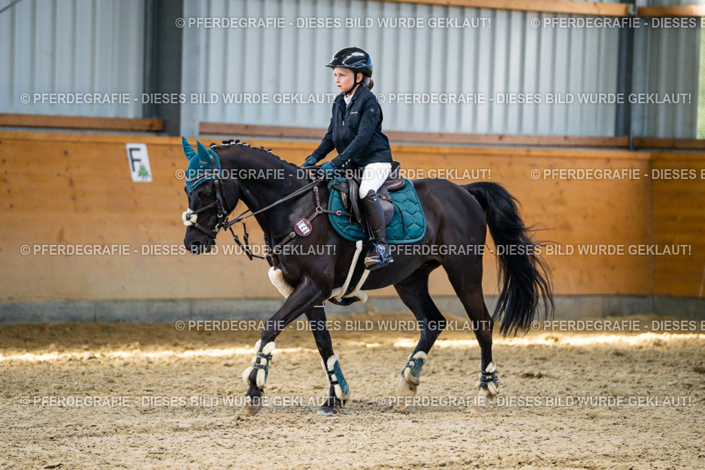 DSC01625 | Pferdegrafie