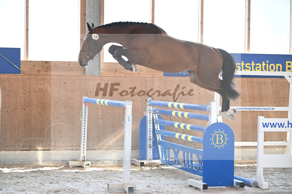 Kat-Nr. 67 Apple Blossom v h Beeckhof v. Bamako de Muze_KES-Kreidl_14261763 | hf-fotografie - Realisiert mit Pictrs.com