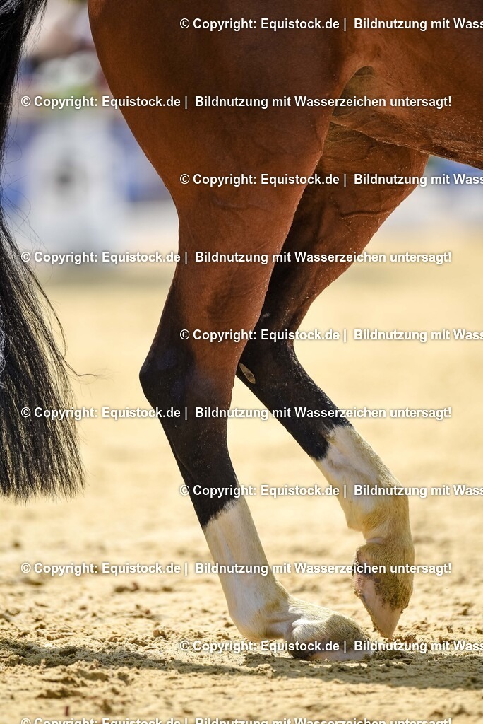 20250607_1_GP-Tour_Dressage_0177 | Foto: Thomas Hartig