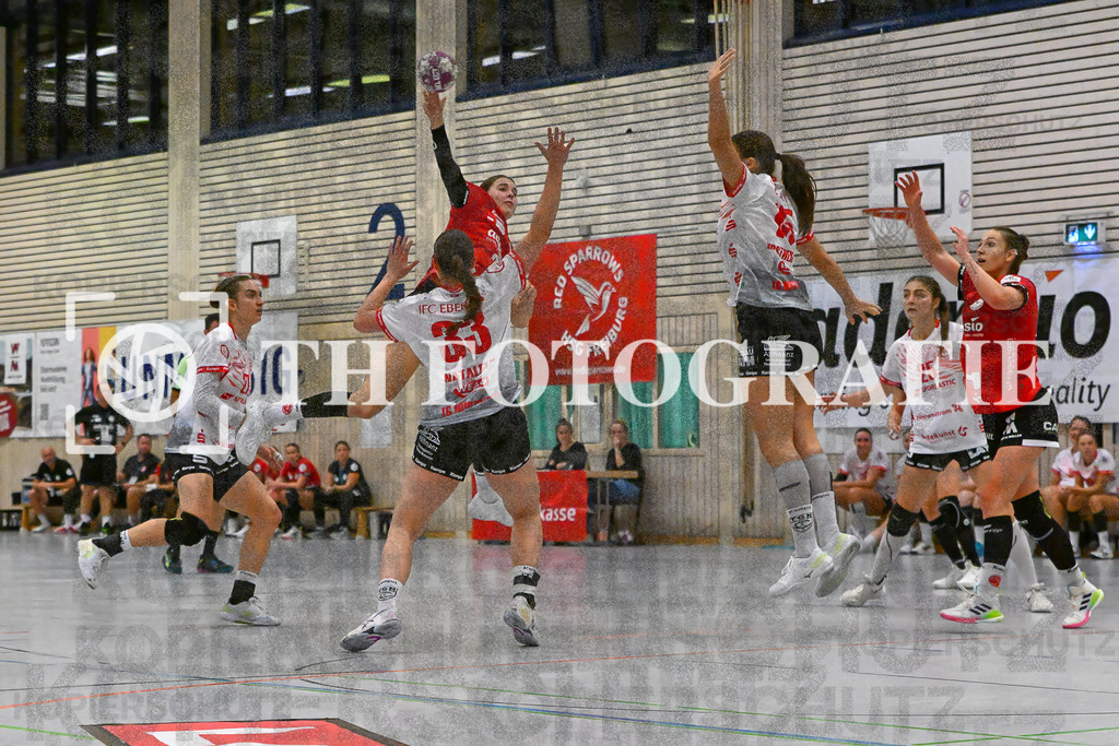 DEU, HSG Freiburg - TG Nuertingen, Handball, 2. Handball-Bundesliga, Saison 2023/2024, 04. Spieltag, Saison 2023/2024, 07.10.2023 | Laura Stiehler (HSG Freiburg, #20) beim Wurf vor Vivien Natalello (TG Nuertingen, #33)

DEU, HSG Freiburg - TG Nuertingen, Handball, 2. Handball-Bundesliga, Saison 2023/2024, 04. Spieltag, Saison 2023/2024, 07.10.2023

Foto: Eibner-Pressefoto/Thomas Hess