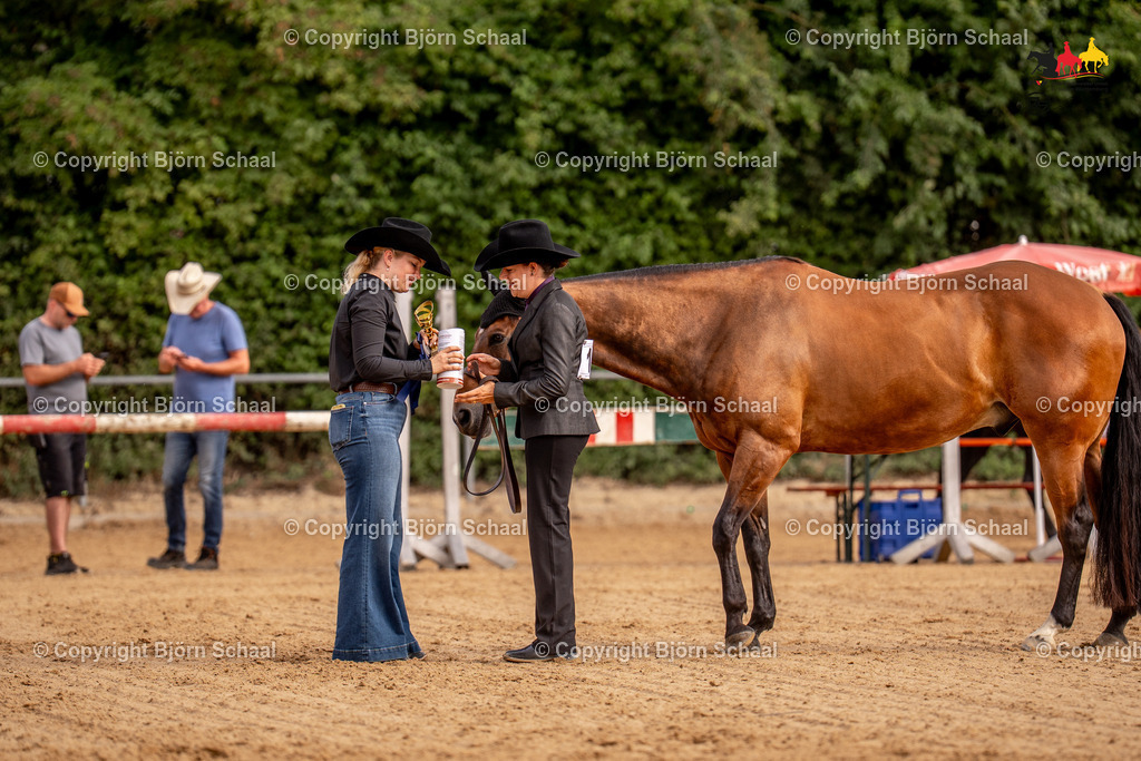 LMS06616 | BS-foto
