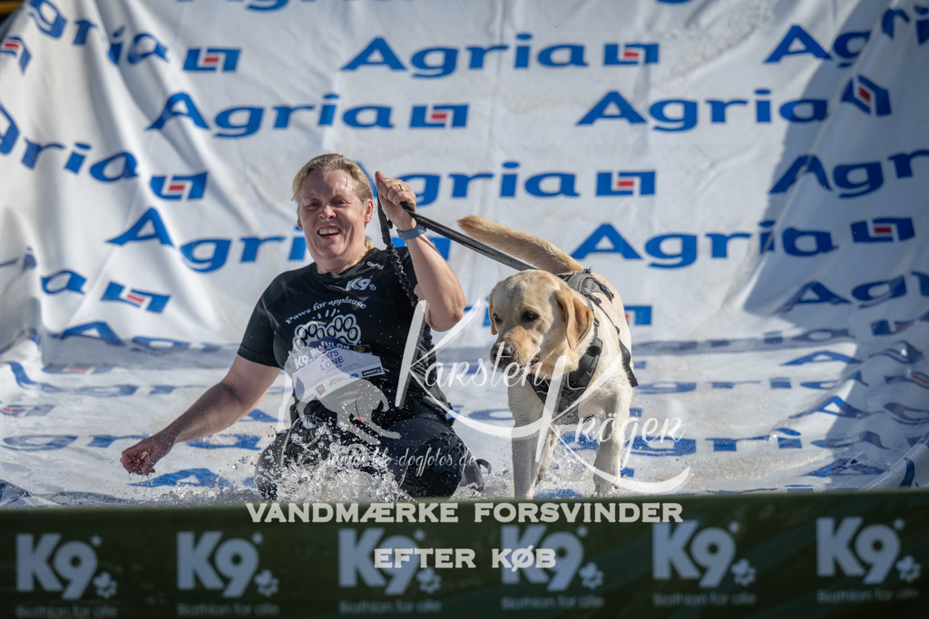 0949_ZZ97123 | kk-dogfotos