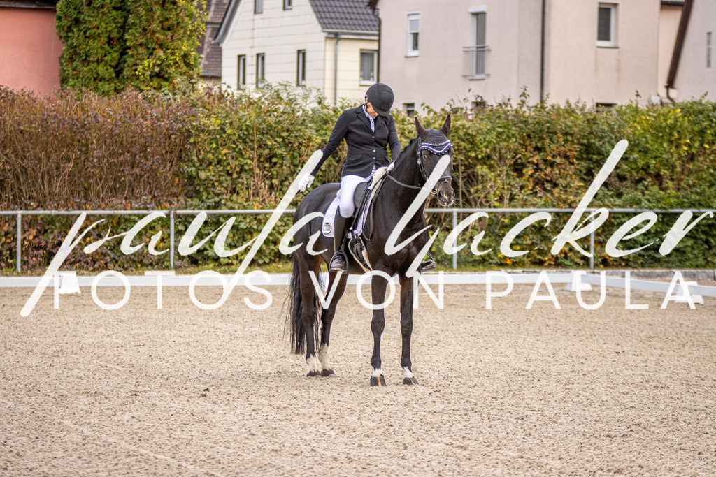 IMG_4094 | Erleben Sie dynamische Sport- und emotionale Tierfotografie in Süddeutschland mit Fotos von Paula. Spezialisiert auf Pferde- und Hundefotografie sowie Sportevents. Kontaktieren Sie mich für einzigartige und ausdrucksstarke Bilder Ihrer besonderen Momente.