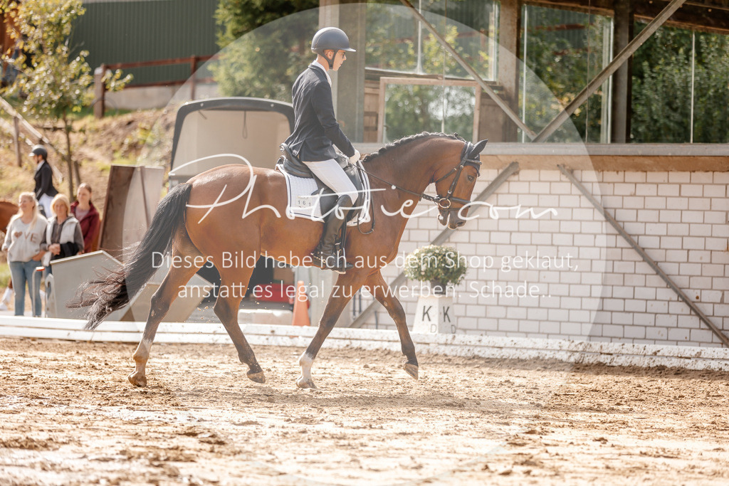 3I6A7215 | Stimmungsvolle Portraits und Reitsportfotografie im Ruhrgebiet und im Münsterland.

Pferdefotografie, Hundefotografie, Tierfotografie, Reportagen, Portraits von Tier und Mensch, Turnierfotografie in Bochum, Recklinghausen, Marl, Haltern am See, Dülmen.. - Realisiert mit Pictrs.com