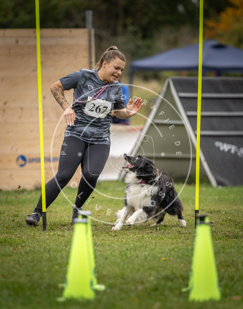 Pfotenfotografie_DV3A9900 | Hundefotografie, Tierfotograf, Pfotenfotografie, Fotoshooting Hund, Hunde Portrait, Hundesport, Hundeportraits, Heideshooting, Hunde, Sportfotograf, Hundefotograf, Turnierhundsport, THS,  - Realisiert mit Pictrs.com