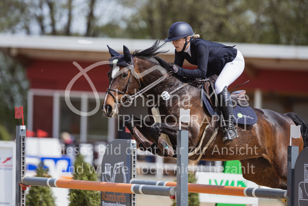 230501_SpengeW_M2St-213 | Deine schönsten Turniermomente als professionelle Fotos! Entdecke hochwertige Pferdesport-Fotografie im Online-Shop. Jetzt Fotos finden & bestellen!
