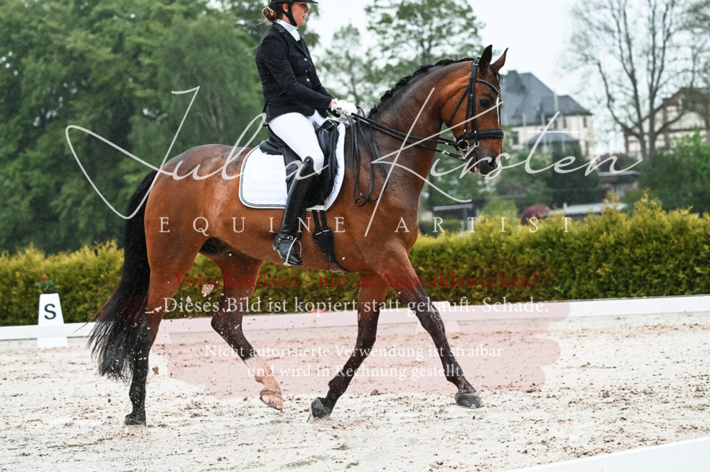 DSC_4559 | Pferde- und Turnierfotografie in Westsachsen. Pferdeportraits, Auftragszeichnungen und intuitive Kunst.