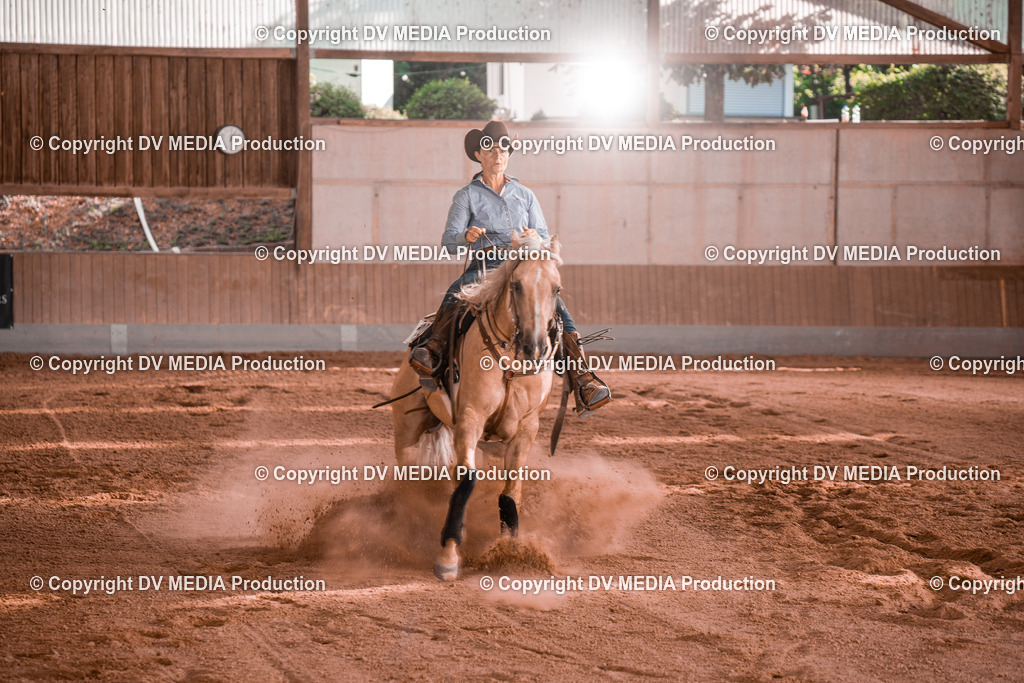 NE201250 | dv-media-shop - Realisiert mit Pictrs.com