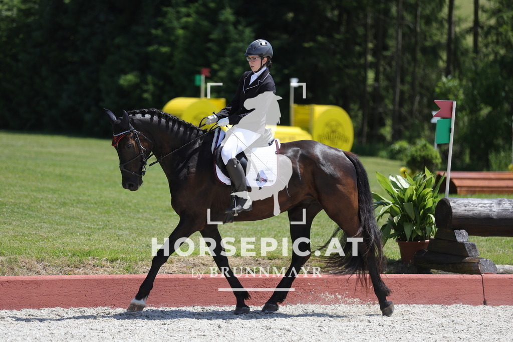 0P6A1351 | Willkommen bei Brunnmayr - Design & Fotografie – Ihrem Spezialisten für Reitturniere und Pferdeveranstaltungen in Oberösterreich, Salzburg und Bayern! Seit über 17 Jahren sind wir leidenschaftlich dabei.