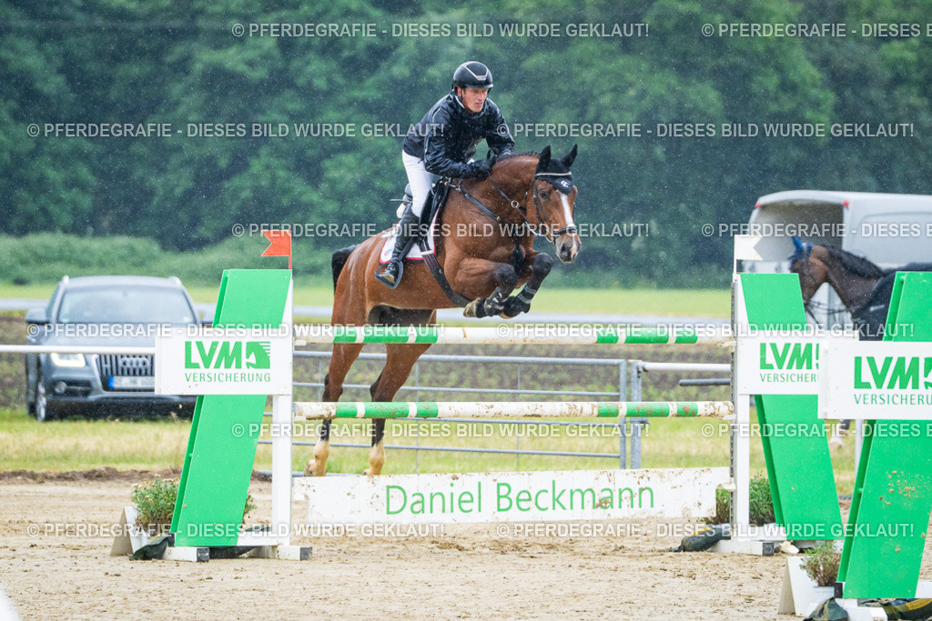 DSC09860 | Pferdegrafie