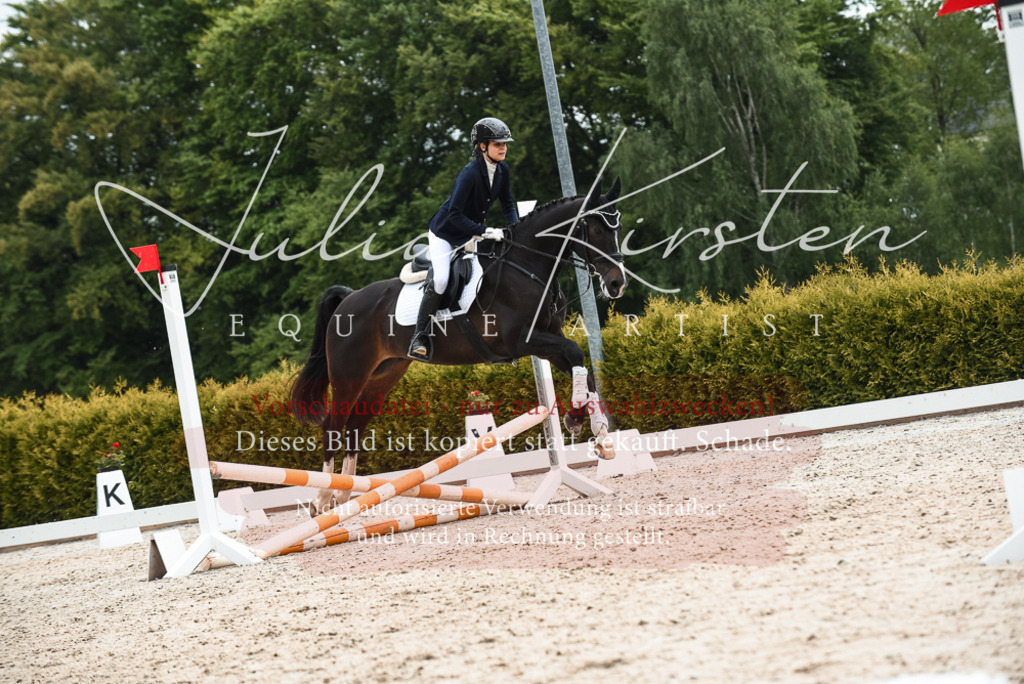 20230518_JK-Röhrsdorf-10-485 | Pferde- und Turnierfotografie in Westsachsen. Pferdeportraits, Auftragszeichnungen und intuitive Kunst.
