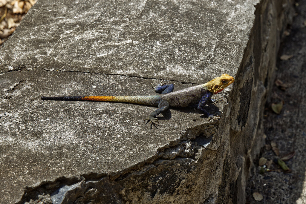 1H5A6710a | ansichtssache