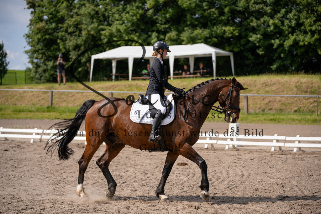 A7V02558 | Pferdefotograf