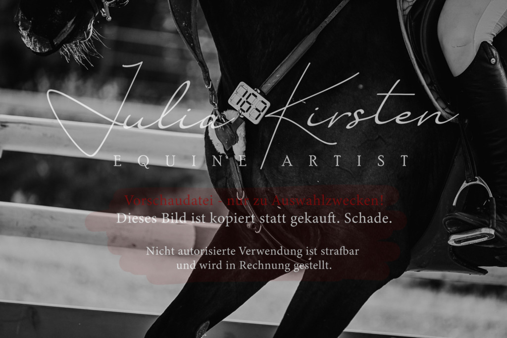 DSC_2933 | Pferde- und Turnierfotografie in Westsachsen. Pferdeportraits, Auftragszeichnungen und intuitive Kunst.