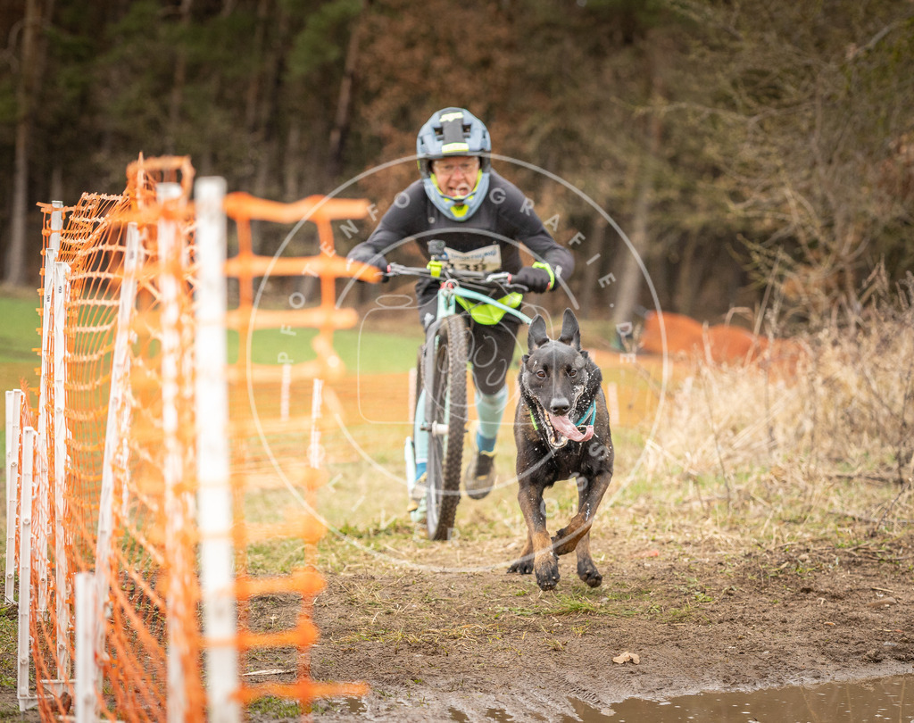 DV3A1477 | Hundefotografie, Tierfotograf, Pfotenfotografie, Fotoshooting Hund, Hunde Portrait, Hundesport, Hundeportraits, Heideshooting, Hunde, Sportfotograf, Hundefotograf, Turnierhundsport, THS,  - Realisiert mit Pictrs.com