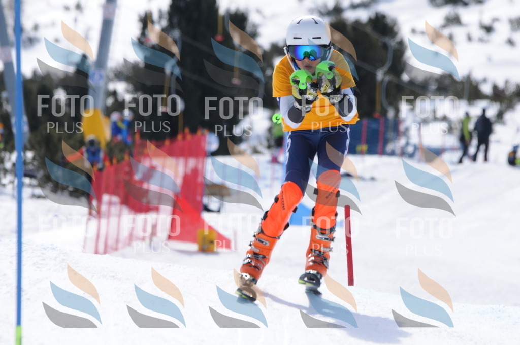 C9402 | holidayphoto