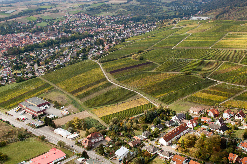Luftbild: Schweigen, Sonnenberg im Ortsteil Schweigen in Schweigen-Rechtenbach im Bundesland Rheinland-Pfalz in Deutschland. Foto: IMG_22475.jpg vom 15.10.2009 durch Werner Riehm/FLY-FOTO.de
