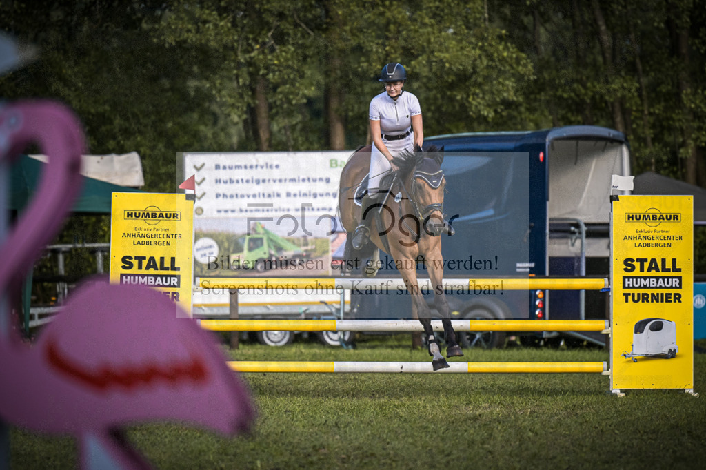 DOS_0119 | Entdecke hochwertige Reitturnierfotos von Foto Oger. Professionell, emotional und authentisch – jetzt Lieblingsmomente im Shop bestellen.Deutschlandweite Turnierfotografie. - Realisiert mit Pictrs.com