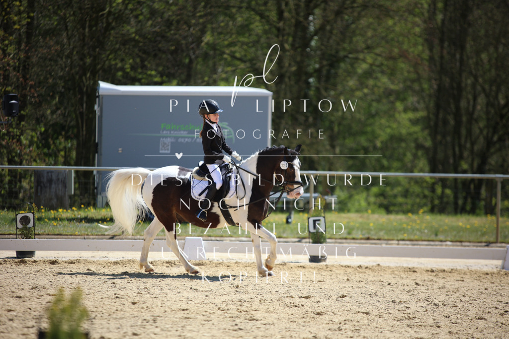 IMGT1259 | pl-fotografie