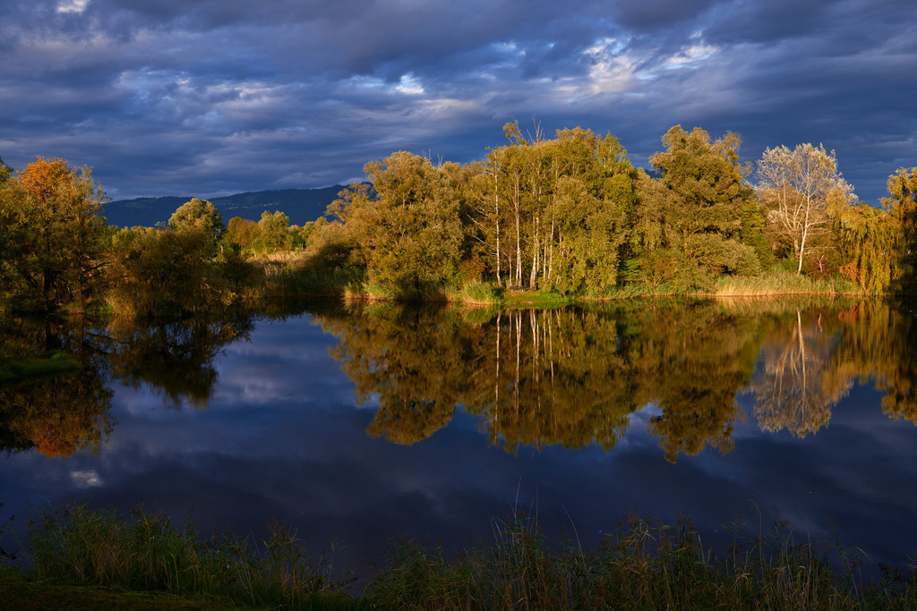 Herbstliche Uferlandschaft im Schleienloch | Hard, Austria - September 13, 2017: Herbstliche Uferlandschaft im Schleienloch. - Realisiert mit Pictrs.com