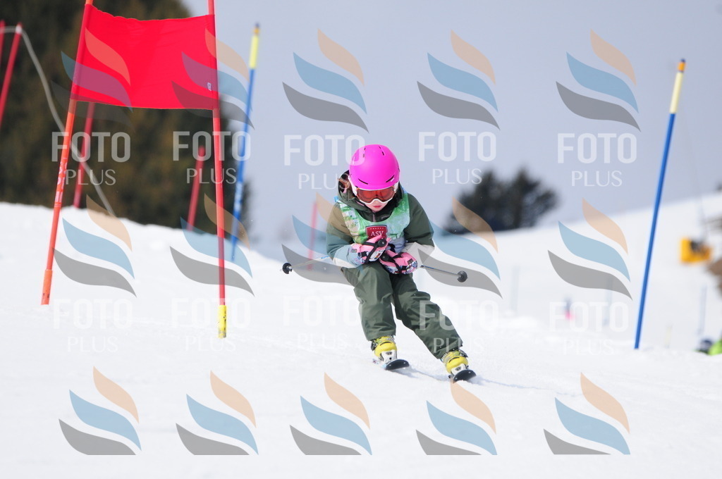 A3777 | holidayphoto