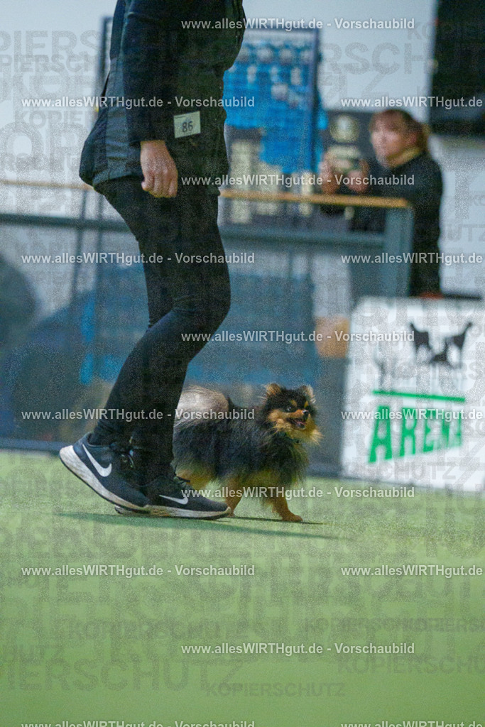 7R503536 | Professionelle Tierfotografie in Mönchengladbach von Daniel Wirth (allesWIRTHgut). Liebevolle & natürliche Bilder von Hunden & Katzen für unvergessliche Erinnerungen.