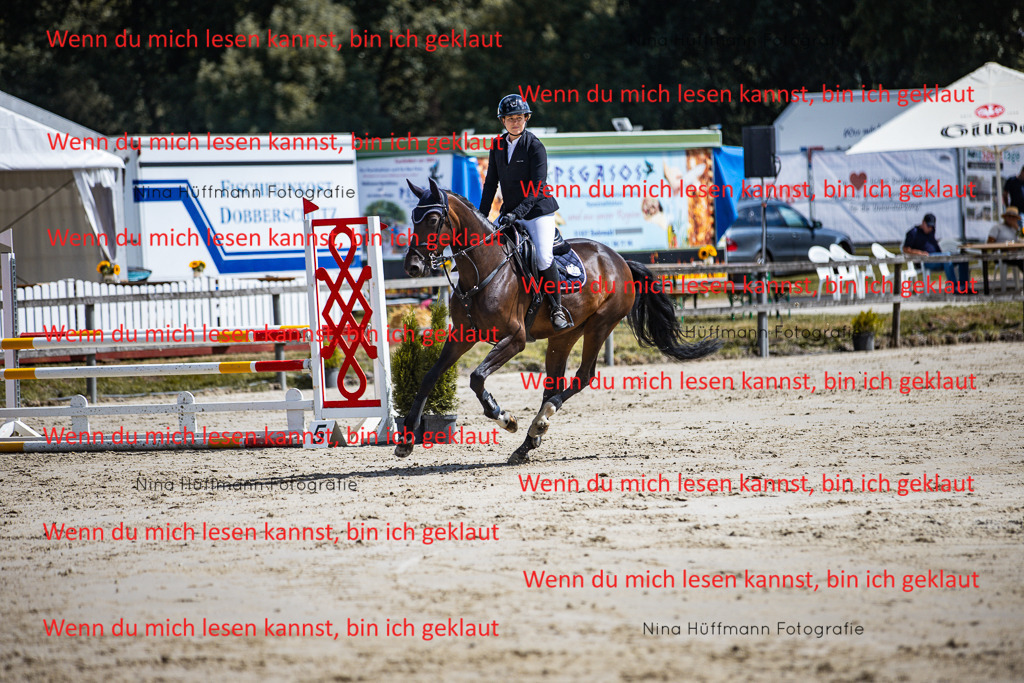 BK1A5124 | Turnierbilder Turnierfotos Nina Hüffmann Turnierfotografie Pferdefotografie Tierzeichnung Haustierzeichnung Pferdezeichnung Hundezeichnung Videograf  - Realisiert mit Pictrs.com