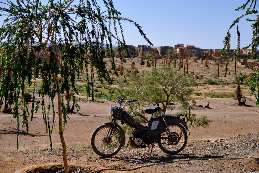 abgestelltes Moped mit Landschaft | Marokko - November 21, 2024: abgestelltes Moped mit Landschaft. - Realisiert mit Pictrs.com