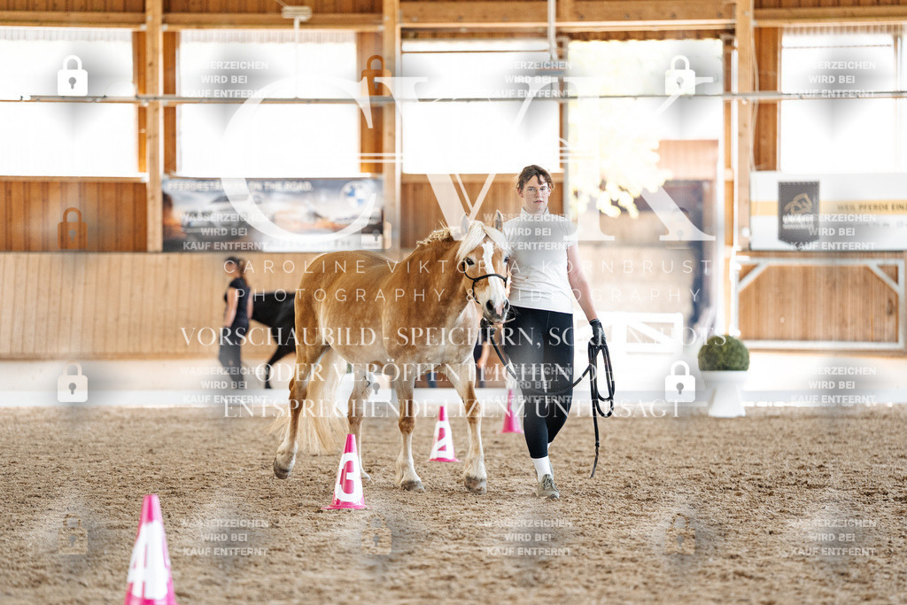 CK907339 | Turnierfotografie Pferdefotografie Trier Rheinland-Pfalz Pferdesport Reitsport Tierfotografie Sportfotografie Pferdevideo Pferdevideografie Equestrianvideography equestrianphotography  - Realisiert mit Pictrs.com