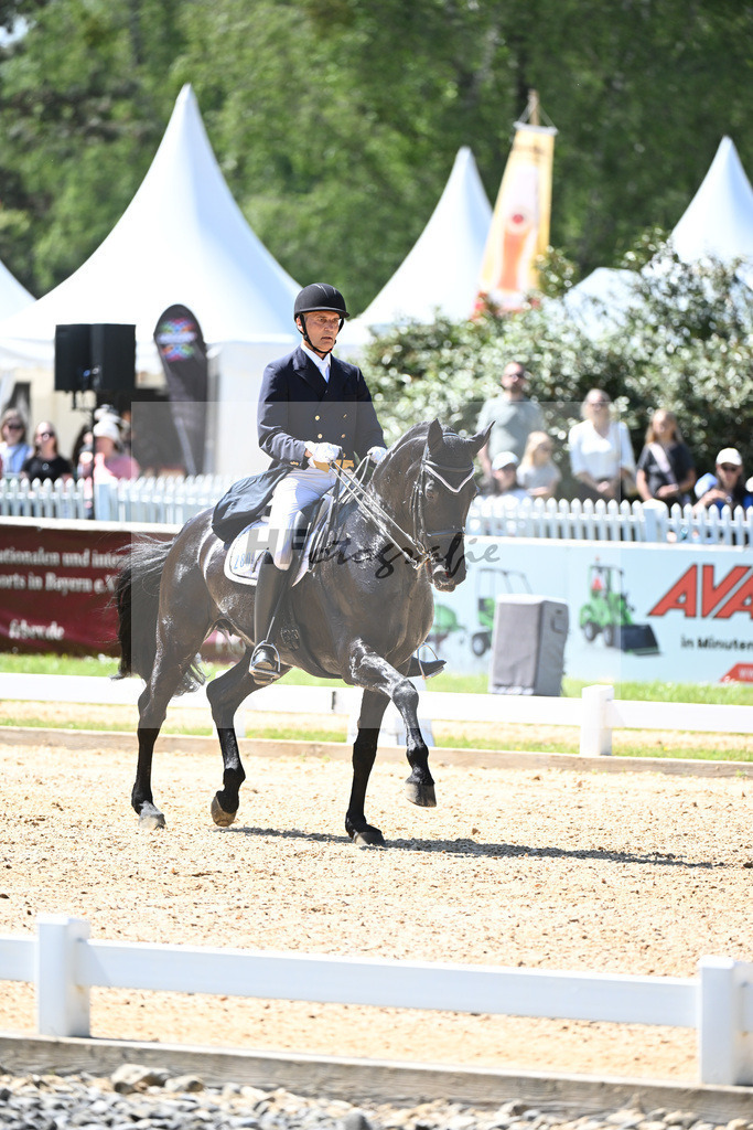 Spatz_Walentina_12246292 | hf-fotografie - Realisiert mit Pictrs.com