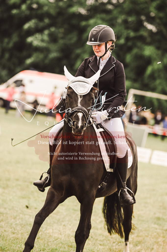 DSC_5179 | Pferde- und Turnierfotografie in Westsachsen. Pferdeportraits, Auftragszeichnungen und intuitive Kunst.