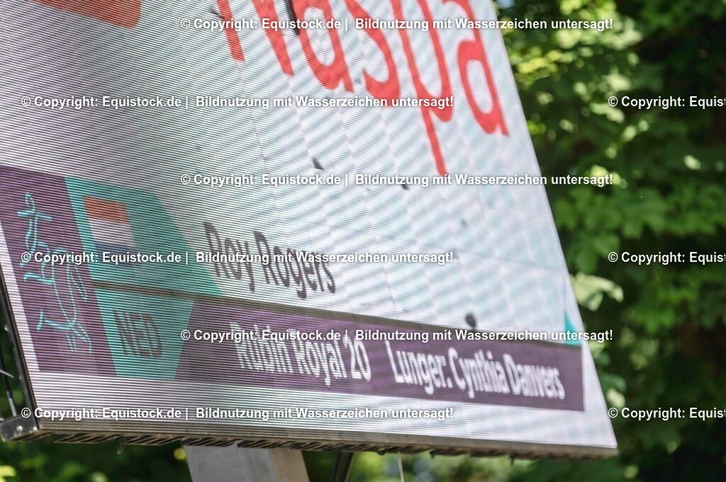 20230528_Voltigieren_NASPA_0593 | equistock