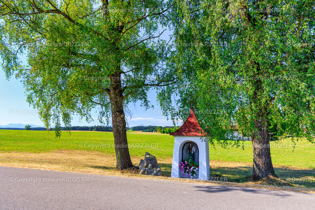 _J3A8455 | medienkrizzler - Realisiert mit Pictrs.com