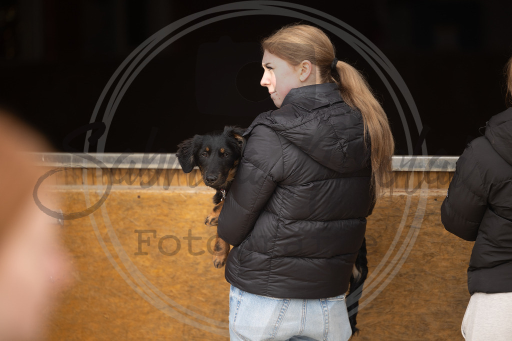 994A8704 | sabrinanicolaifotografie - Realisiert mit Pictrs.com