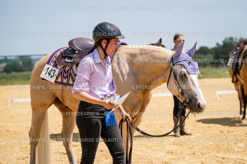 DSC01413 | Pferdegrafie