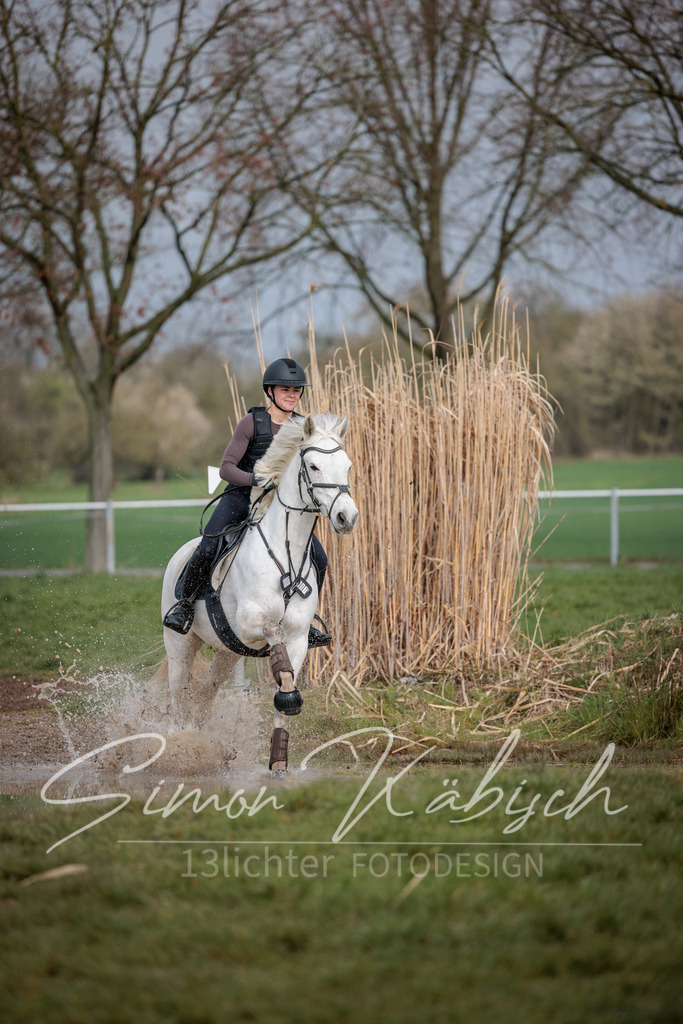 20260329-_3LI3703 | Tierfotografie Pferde, Hunde, Katzen, Haustiere.
Turnierfotografie Reitturniere, Reiten, Springreiten, Dressur in Hanau, dem Main-Kinzig-Kreis und dem Rhein-Main- Gebiet um Frankfurt