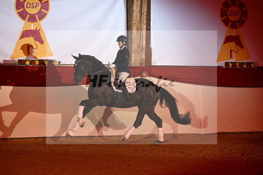 Boccacio_Fiedler_3262143 | hf-fotografie - Realisiert mit Pictrs.com