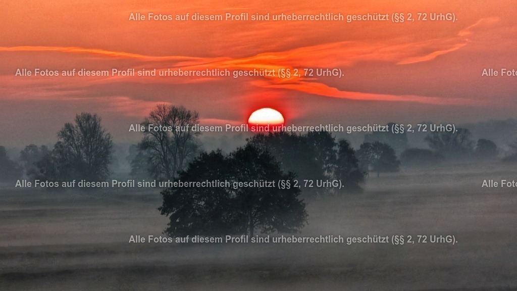 PXL_20241024_055634381 | krollfotografie - Realisiert mit Pictrs.com