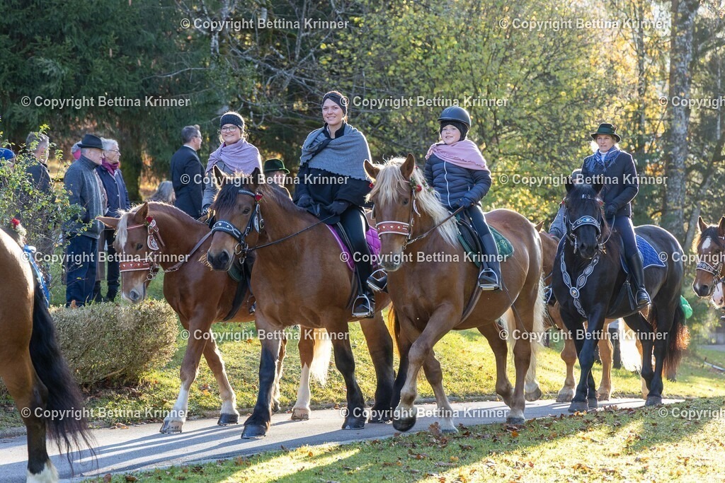 LL24-157 | foto-bettina-krinner - Realisiert mit Pictrs.com